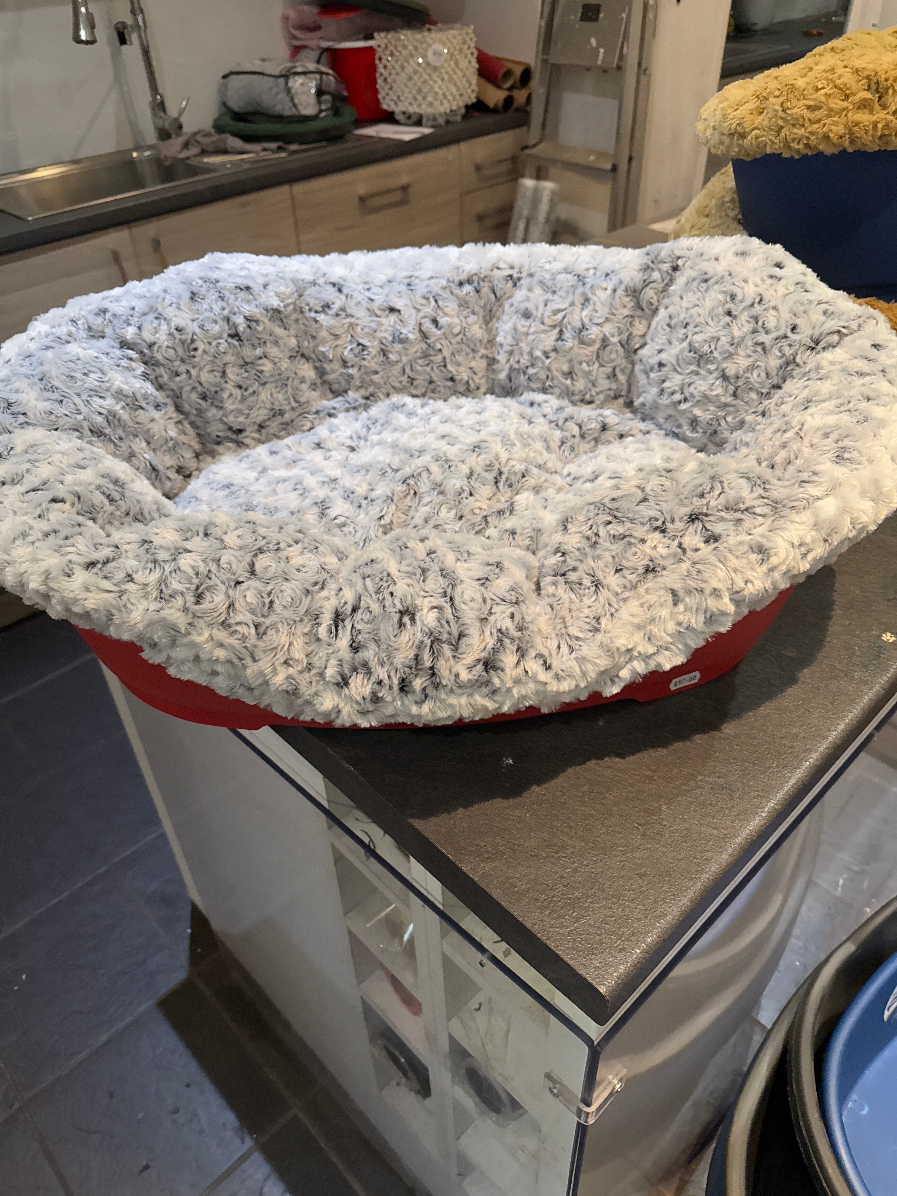 Plastic Dog Bed