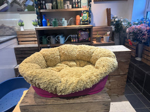 Plastic Dog Bed